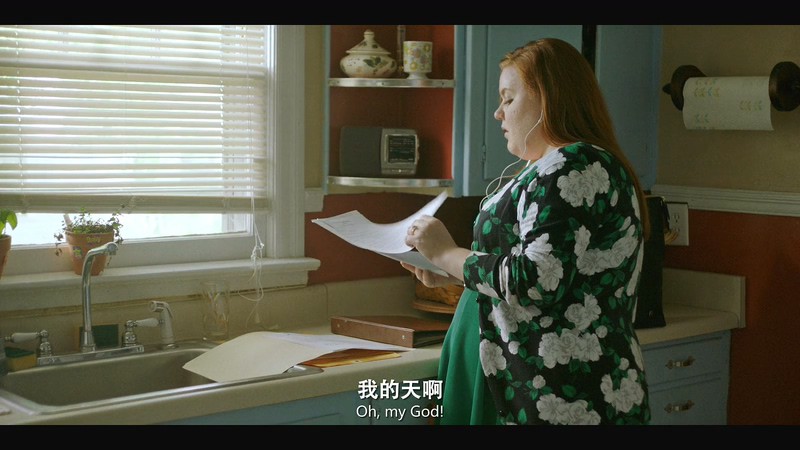 2019美国喜剧《信任之剑》HD720P&HD1080P.英语中英双字截图