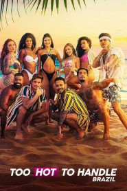 欲罢不能：巴西篇第二季封面图