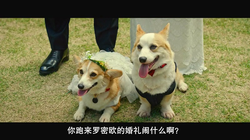 2019爱情喜剧《要做两次吗？》HD720P&HD1080P.韩语中字截图