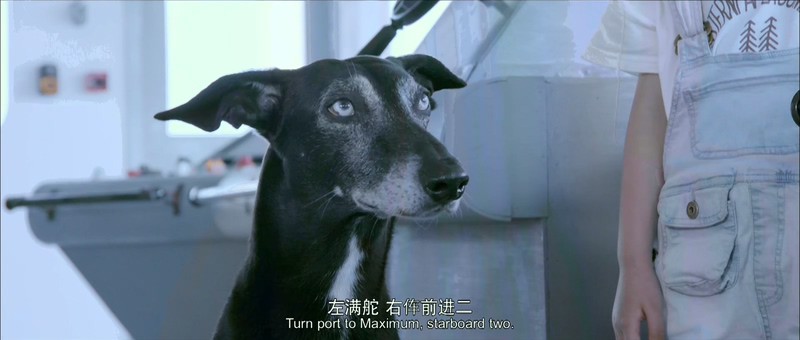 2019科幻冒险《动物出击》HD1080P.国语中字截图