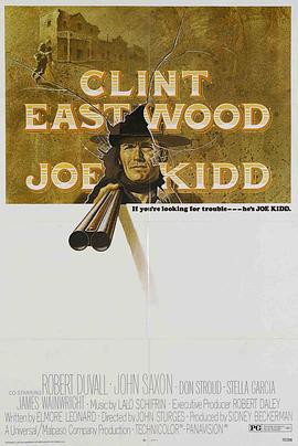 独行神枪侠封面图