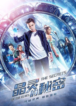 晶灵的秘密封面图