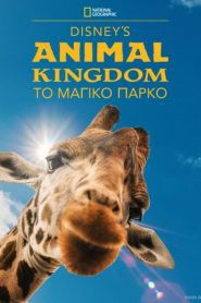 迪士尼动物王国第二季封面图