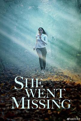 侦缉迷踪封面图