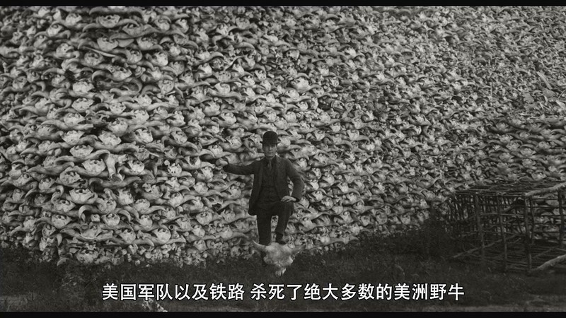 2020美国剧情《亲吻地面》HD720P&HD1080P.英语中字截图