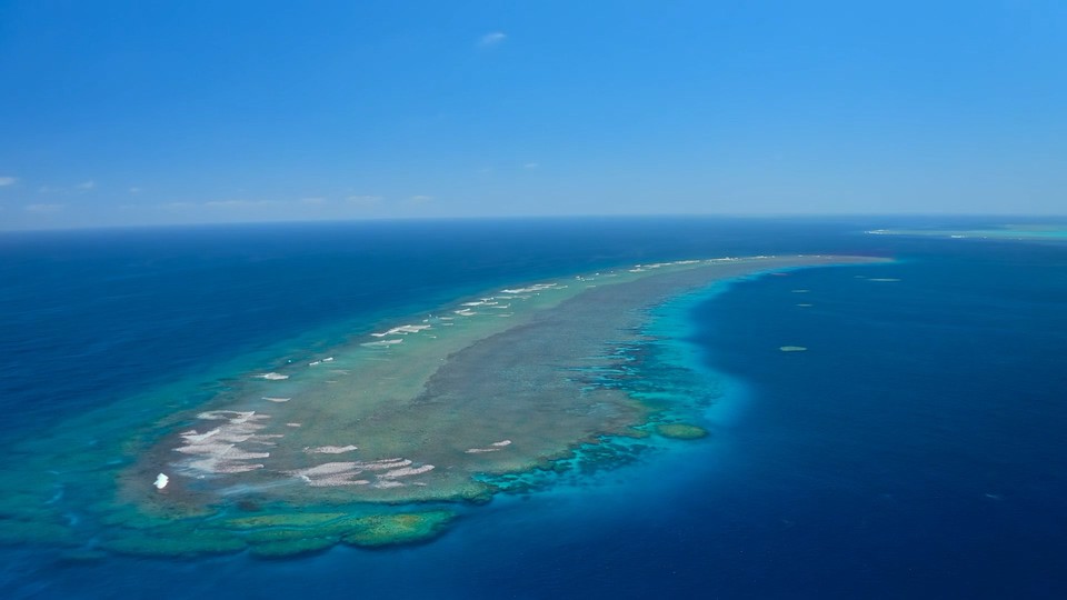 2021澳大利亚纪录《河豚之家：神奇的珊瑚礁》HD720P&HD1080P.英语中字截图