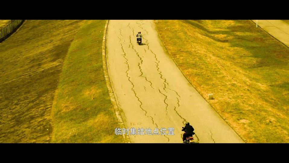 2023犯罪动作《除恶：飞车党》HD1080P.国语中字截图