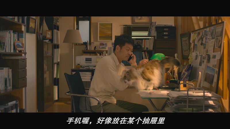 2019高分剧情《猫与爷爷》BD720P&BD1080P.日语中字截图