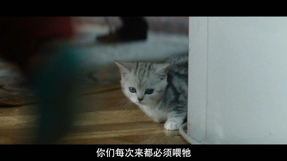 2020德国剧情《孩童狂奔》HD720P&HD1080P.德语中字截图