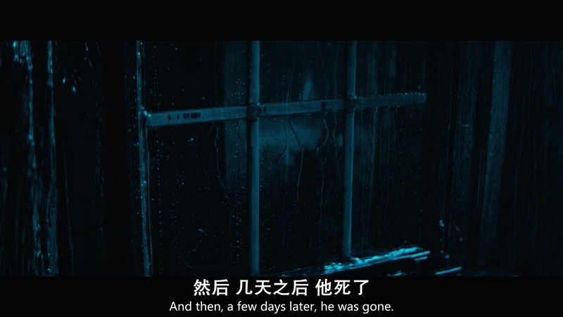 2019英国纪录《告诉我我是谁》HD720P&HD1080P.英语中英双字截图