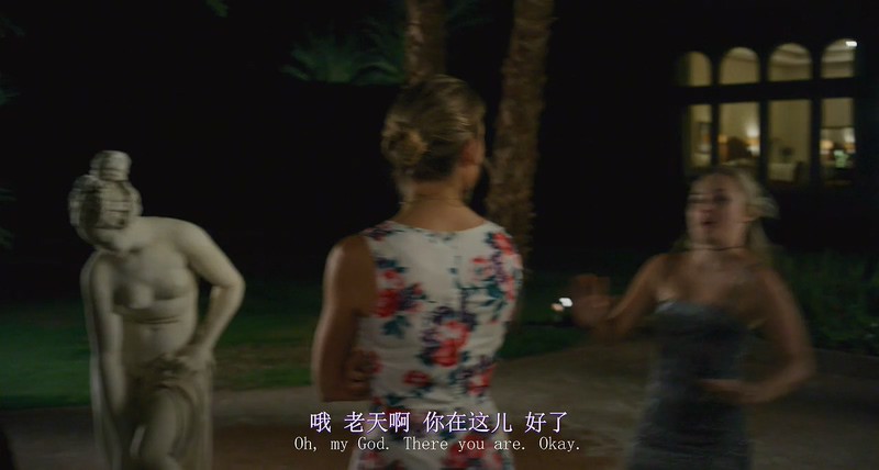 2018美国惊悚《血腥姐妹会》BD720P.中英双字截图
