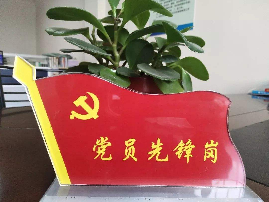 文体公司开展“七个一”党建活动  喜迎党的99华诞(图8)