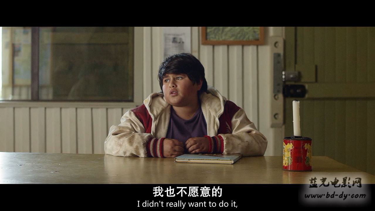 《追捕野蛮人/搜寻世外野人》2016高分喜剧冒险.BD720P.高清中英双字截图