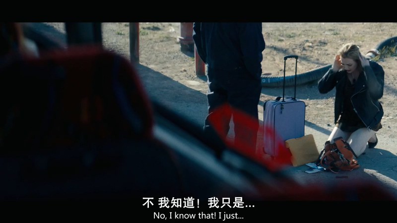 2019美国剧情《捡来的孩子》HD720P&HD1080P.英语中英双字截图