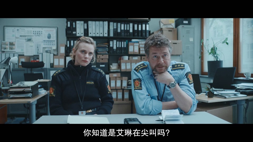  维京恶狼 2023挪威惊悚 BD1080P 迅雷下载 