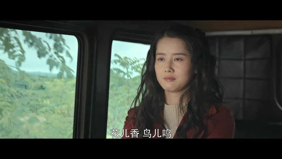 2022国剧《沸腾人生》40集全.HD1080P&4K.国语中字