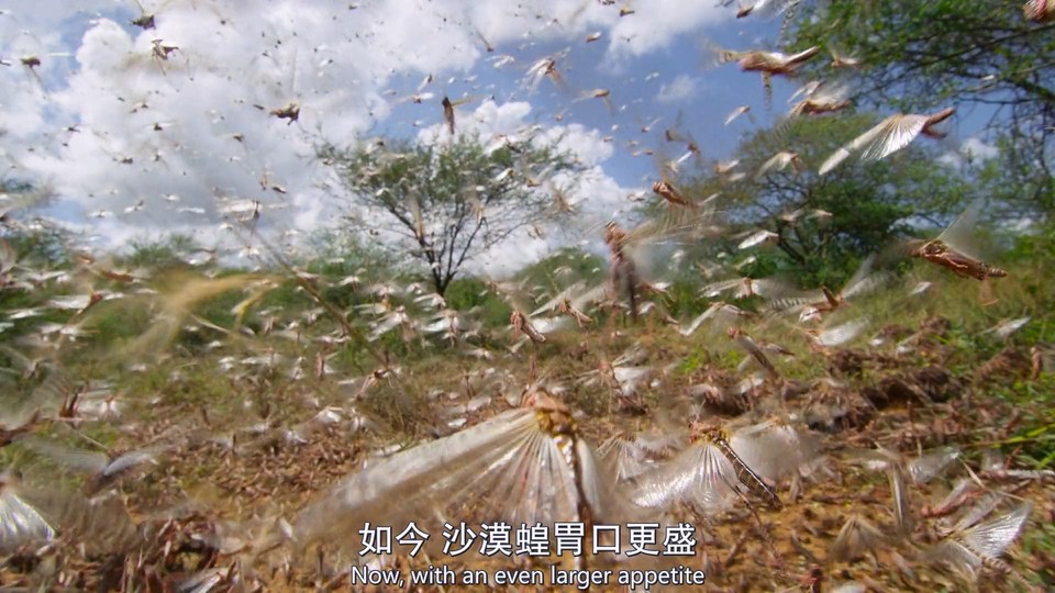 2023英国纪录《我们的星球 第二季》4集全.HD1080P.英语中英双字截图;jsessionid=MqF2vSswXBQ-U3Wrfo3cNUrw5TKuaCkvICcHk8rt