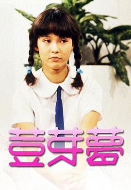 豆芽梦1981封面图