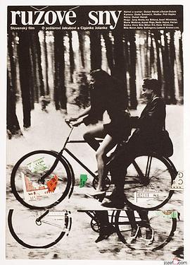 玫瑰色的梦封面图