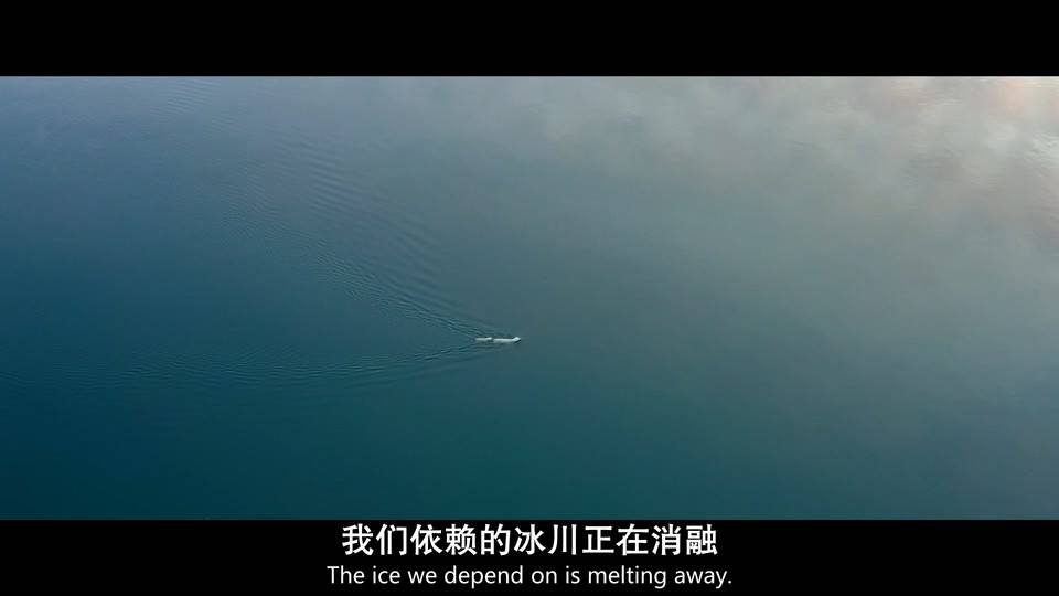 2022美国纪录《北极熊》HD1080P.英语中英双字截图