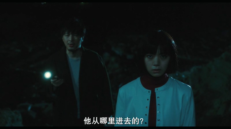 2019惊悚恐怖《贞子：起源》BD720P&BD1080P.日语中字截图