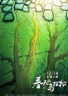 春天的马拉松封面图