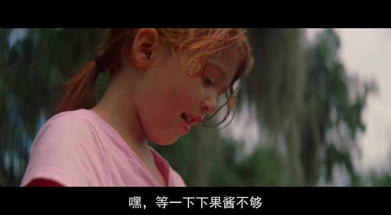 2017高分剧情《佛罗里达乐园》HD1080P.英语中字截图