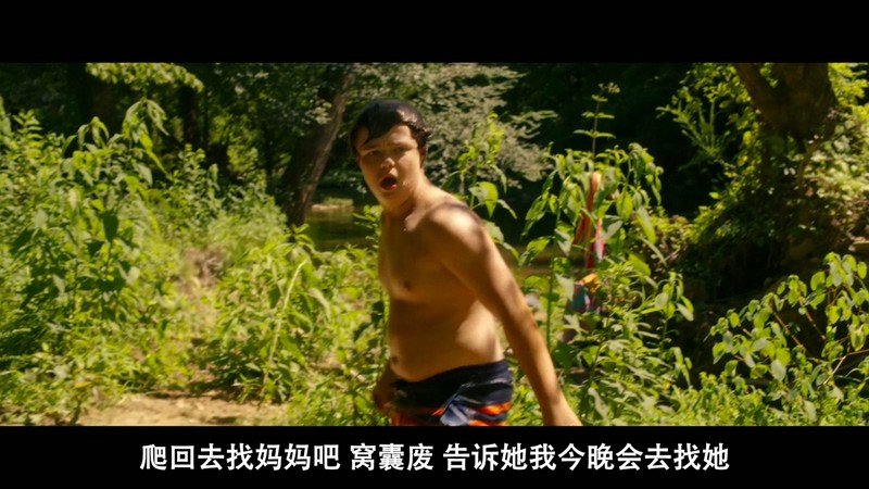 2020美国剧情《乡下人的悲歌》HD720P&HD1080P.英语中字截图