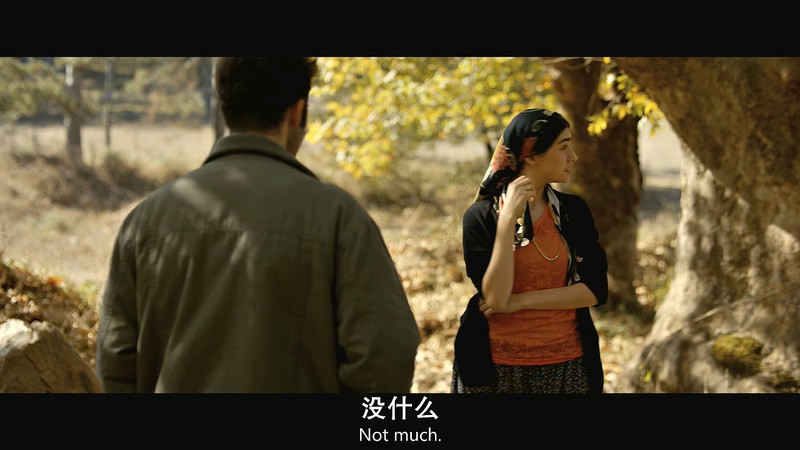 2018高分剧情《野梨树》BD720P.土耳其语中字截图
