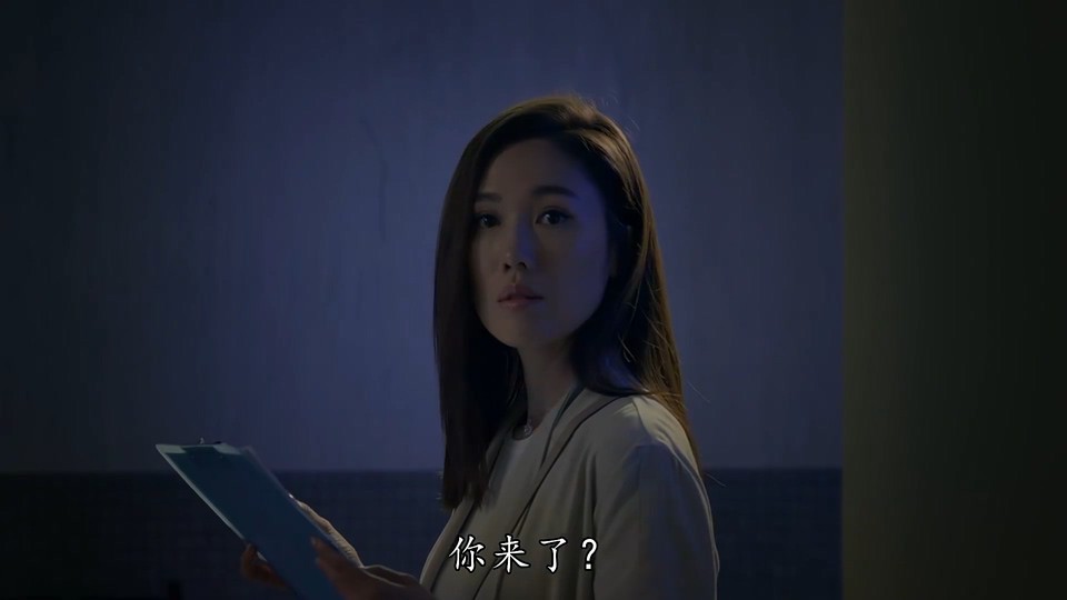 2022港剧《金宵大厦2 粤语》20集全.HD1080P.粤语中字截图