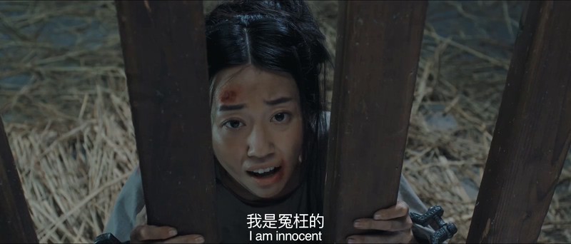 2019悬疑喜剧《七品神探》HD1080P.国语中字.无水印截图