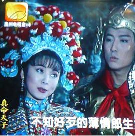 真命天子封面图