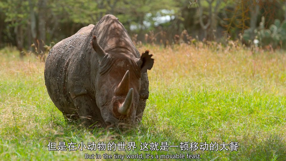 2020美国纪录《小小世界 第一季》6集全.HD1080P.英语中英双字截图;jsessionid=HrcZHYpb5LtI1TzZ-OEeIW9Ct_G1K4AKMFK2d2Qf