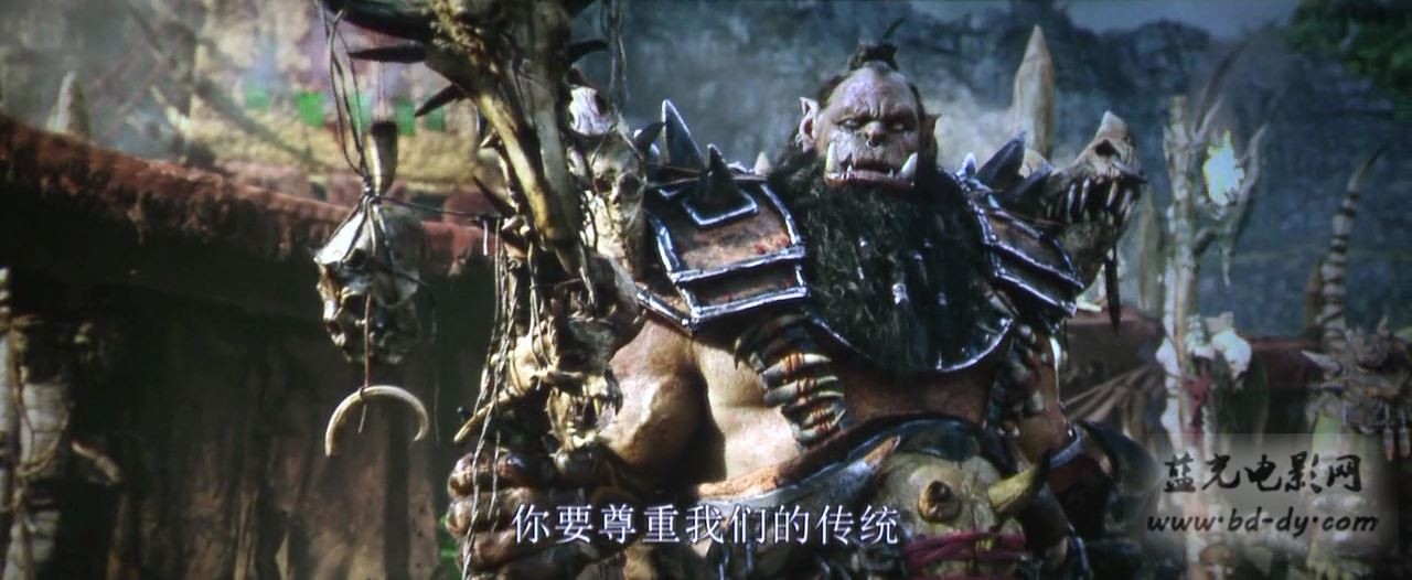 魔兽争霸/魔兽世界剧照