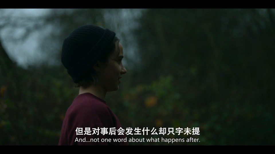 2021美剧《汉娜 第三季》6集全.HD1080P.英语中英双字截图