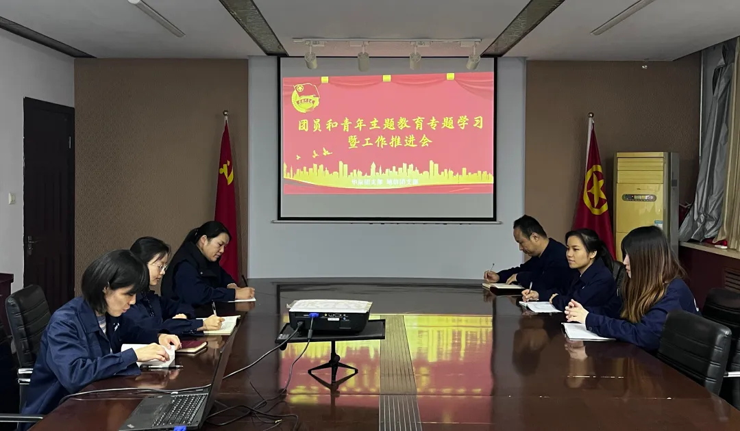 20231121华辰公司团支部与地信公司团支部组织召开团员和青年主题教育专题学习暨工作推进会.jpg
