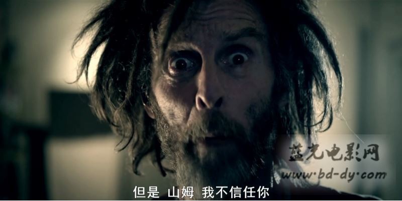 《惊魂疯人院》2013美国惊悚.HD720P.英语中字截图
