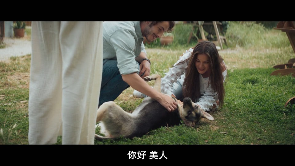 2022土耳其爱情《逆风追爱》HD1080P.土耳其语中字截图