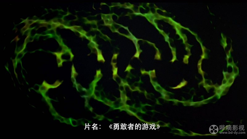勇敢者的游戏2剧照