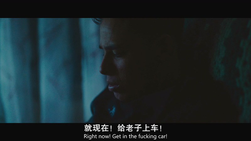 2018美国剧情《怪物与人》BD720P&BD1080P.英语中英双字截图