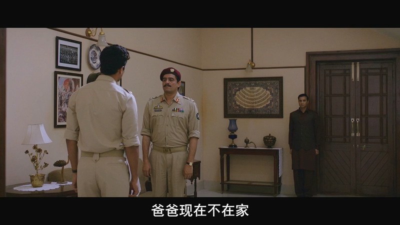 2018惊悚犯罪《谍影丽人》HD720P.印地语中字截图