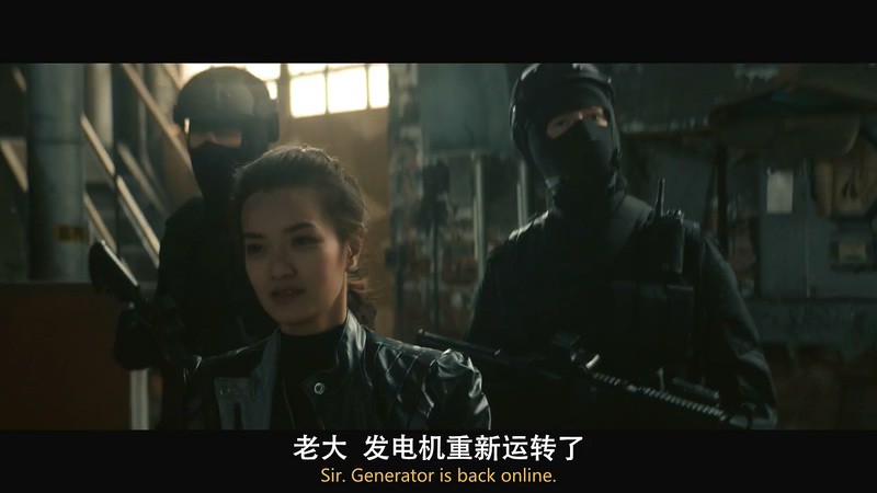 2020美国动作《虎胆悍将》HD720P&HD1080P.英语中英双字截图