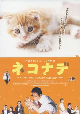 小猫奇缘封面图