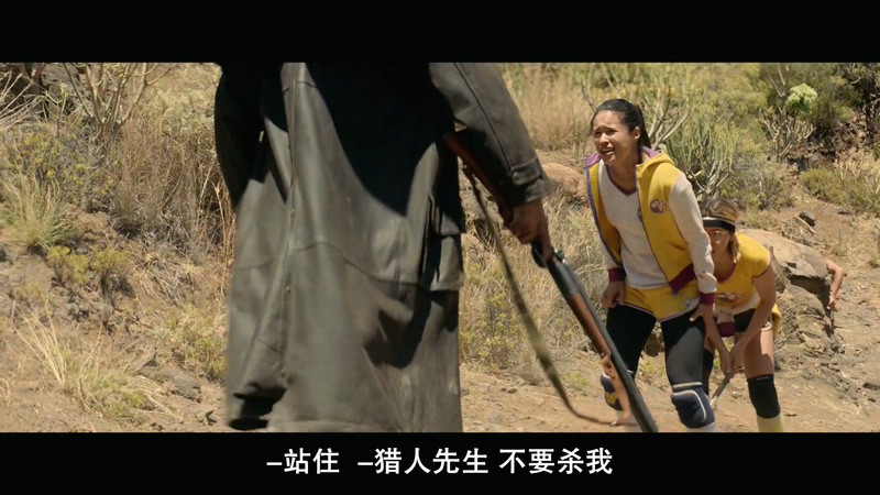 2018法国喜剧《虎胆凤威》HD1080P.法语中字截图
