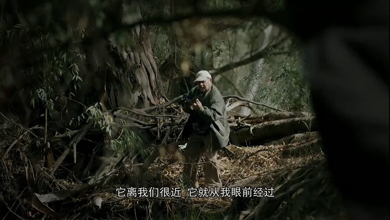 2010纪录片《未解之谜第一季》6集全.HD720P.英语中字截图