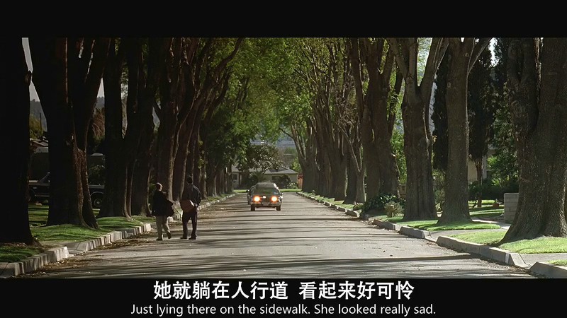 1999美国爱情《美国丽人》BD720P&BD1080P.英语中英双字截图;jsessionid=8KVza4B5D0JHRj1xl19fpPYwhPaU8IJtjdTDAQVR