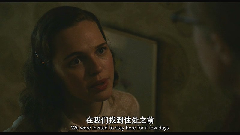 2020美国惊悚《雪莉》HD720P&HD1080P.英语中英双字截图