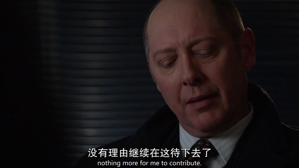 《罪恶黑名单第三季》23集全.2015悬疑犯罪.HD720P.中英双字截图