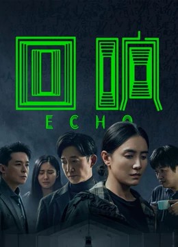 2023国剧《回响》13集全.HD1080P.国语中字-有趣BT