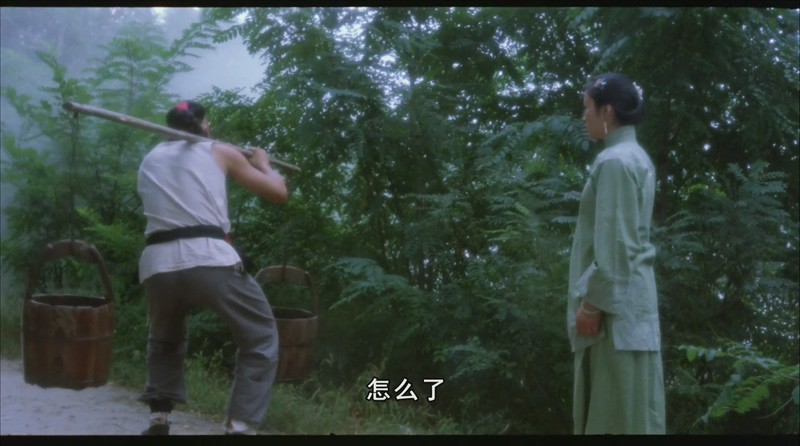 1986经典冒险《神鞭》HD1080P.国语中字截图